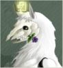 deerylou's picture