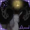 anzel's picture