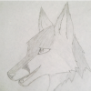 dracomoona's picture