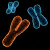 chromosomeXX's picture