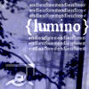 Lumino's picture