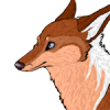 Kiyi's picture